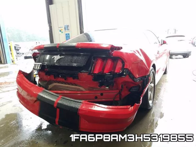 1FA6P8AM3H5319855_4.webp
