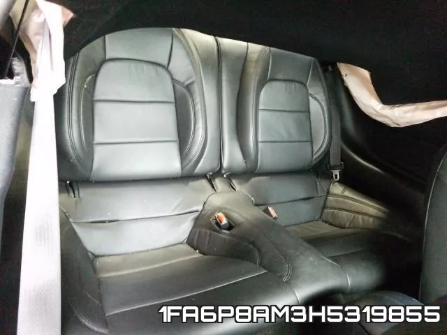 1FA6P8AM3H5319855_6.webp