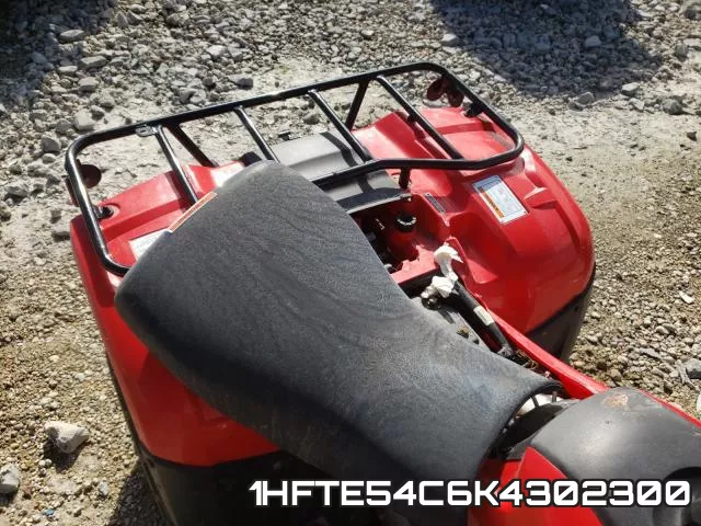 1HFTE54C6K4302300_6.webp