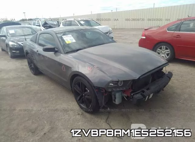 1ZVBP8AM1E5252156