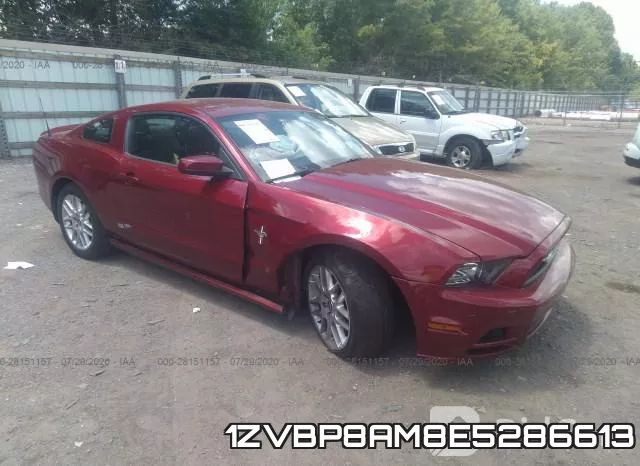 1ZVBP8AM8E5286613