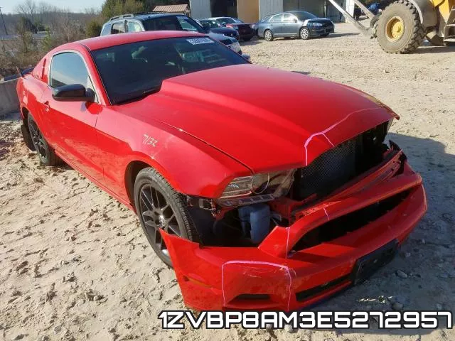 1ZVBP8AM3E5272957