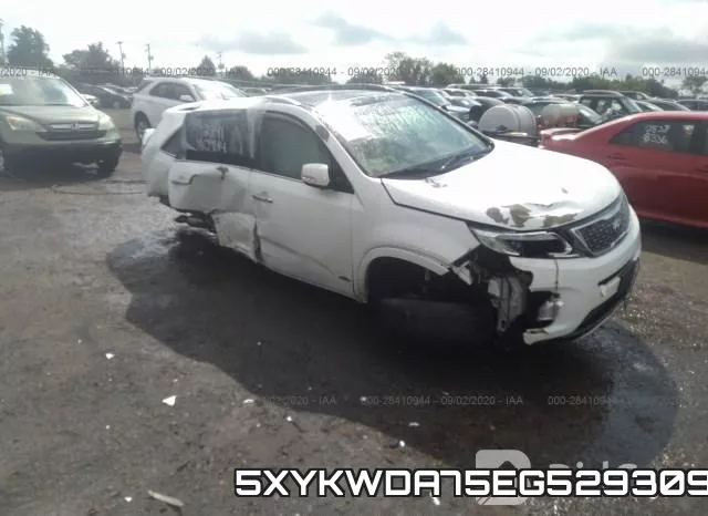 5XYKWDA75EG529309