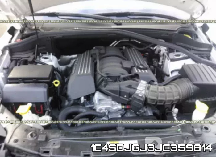 1C4SDJGJ3JC359814_10.webp