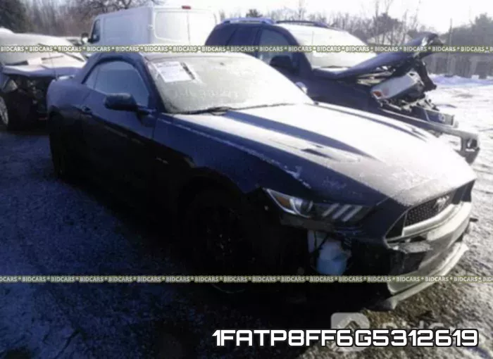 1FATP8FF6G5312619