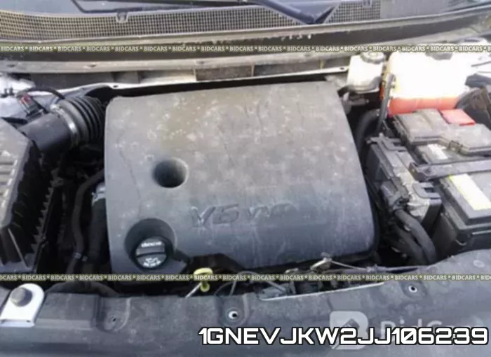 1GNEVJKW2JJ106239_10.webp