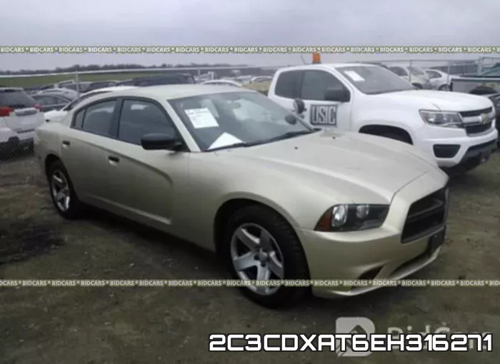 2C3CDXAT6EH316271