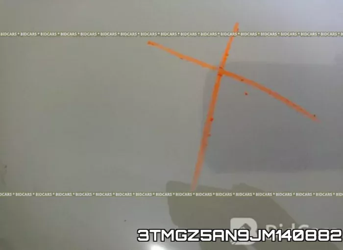 3TMGZ5AN9JM140882_10.webp