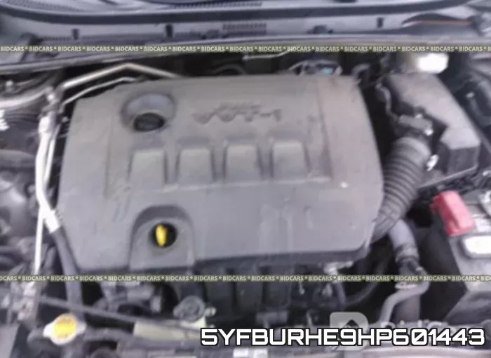 5YFBURHE9HP601443_10.webp