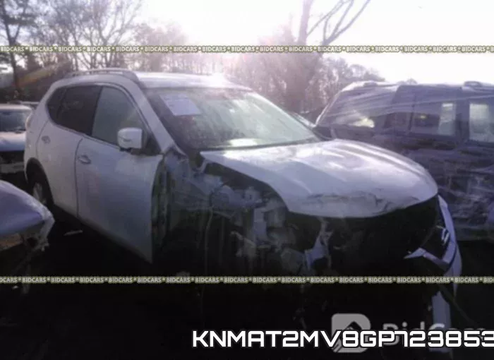 KNMAT2MV8GP723853