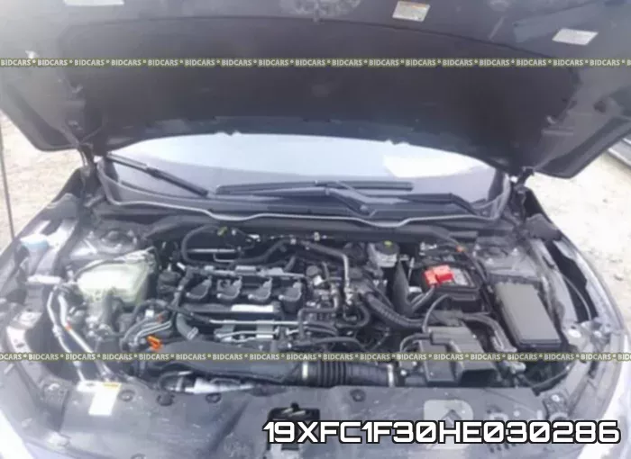19XFC1F30HE030286_10.webp