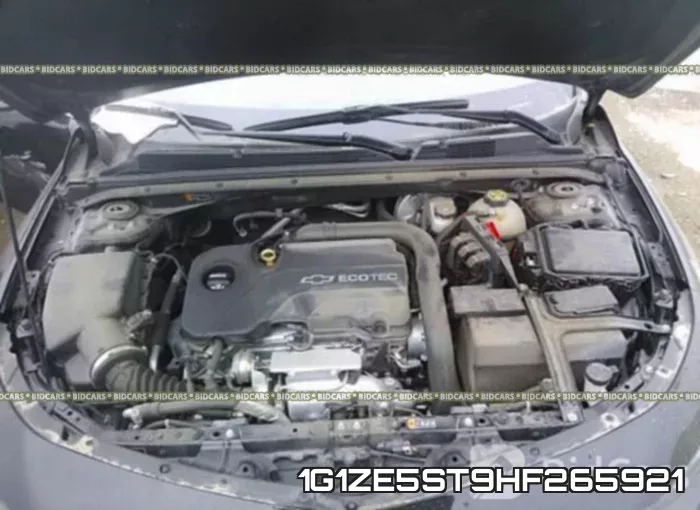 1G1ZE5ST9HF265921_10.webp
