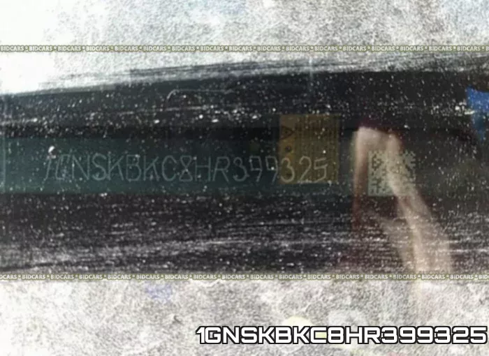1GNSKBKC8HR399325_9.webp