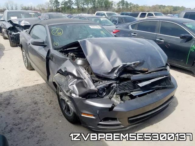 1ZVBP8EM5E5300137