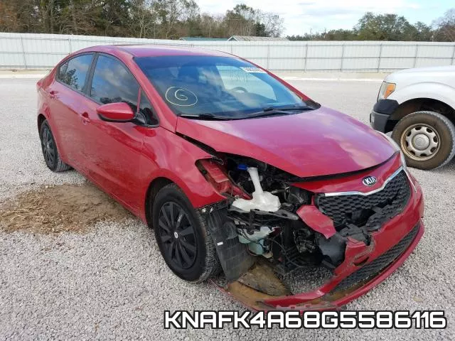 KNAFK4A68G5586116