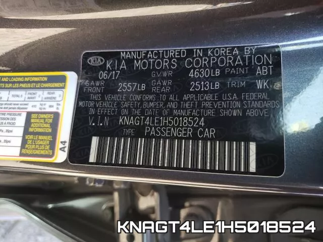 KNAGT4LE1H5018524_10.webp