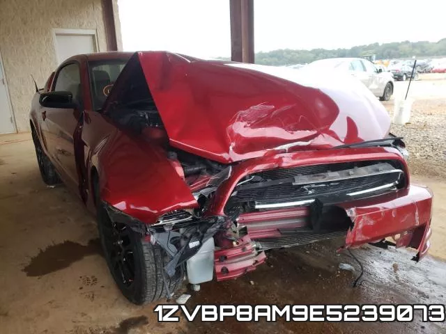 1ZVBP8AM9E5239073