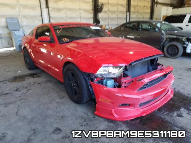 1ZVBP8AM9E5311180