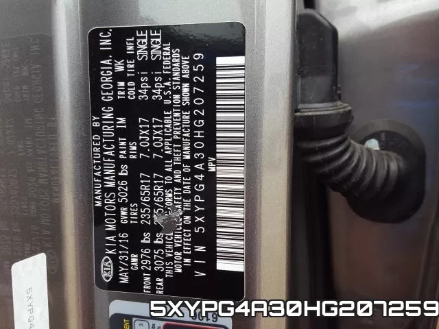 5XYPG4A30HG207259_10.webp