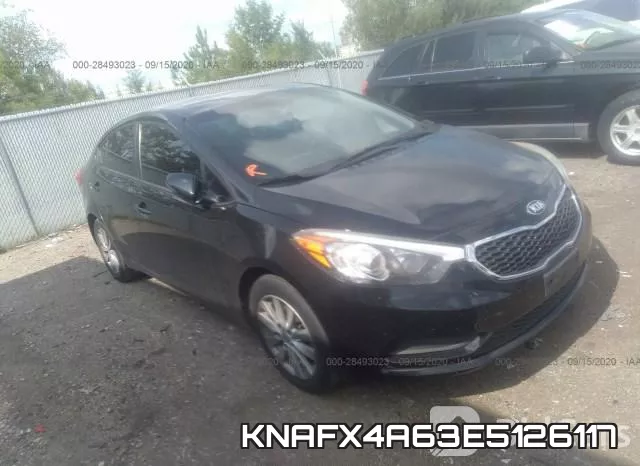 KNAFX4A63E5126117