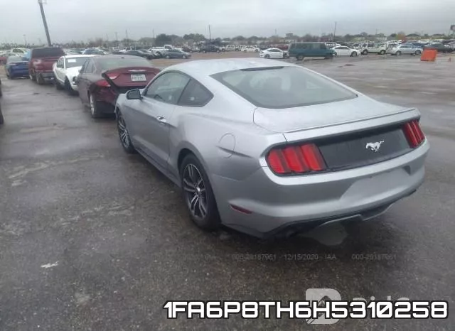 1FA6P8TH6H5310258_3.webp