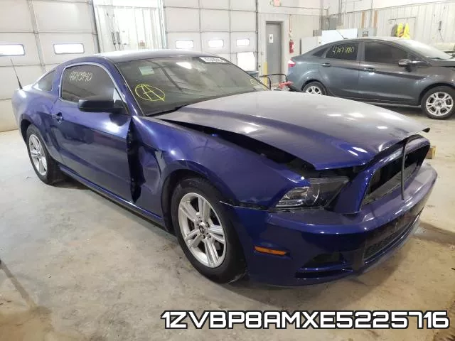 1ZVBP8AMXE5225716