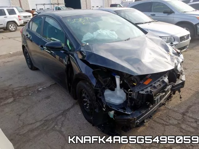 KNAFK4A65G5495059