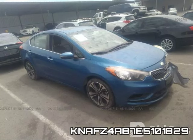 KNAFZ4A87E5101829