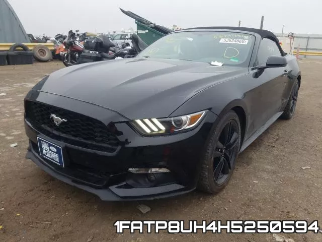 1FATP8UH4H5250594