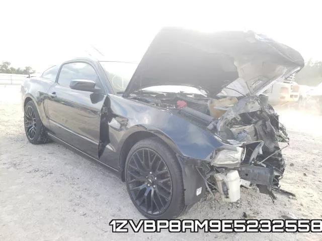 1ZVBP8AM9E5232558