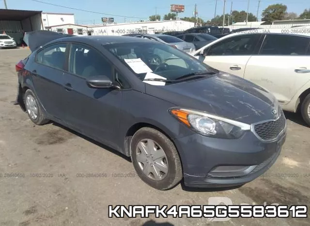 KNAFK4A65G5583612
