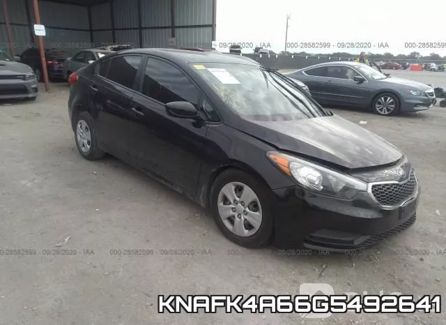KNAFK4A66G5492641