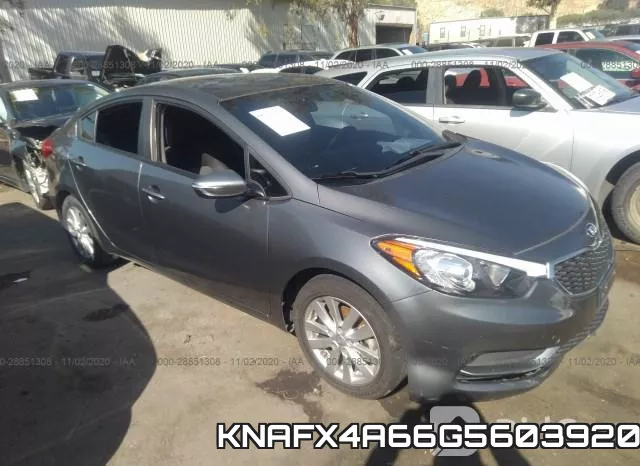 KNAFX4A66G5603920