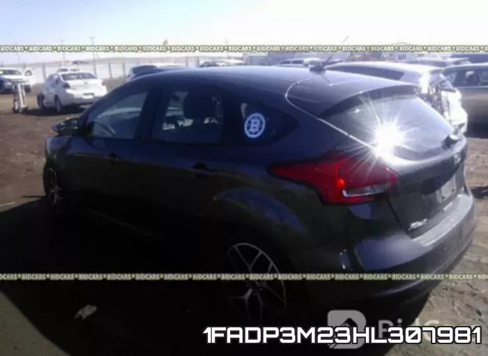 1FADP3M23HL307981_3.webp