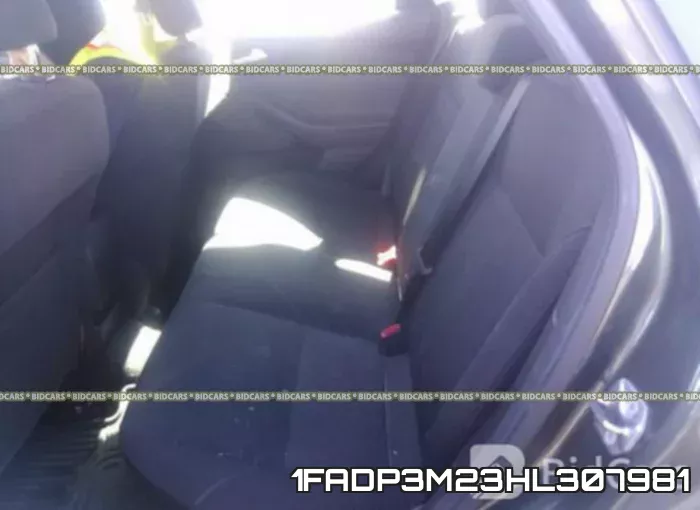 1FADP3M23HL307981