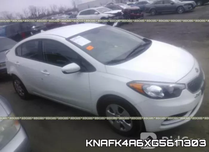 KNAFK4A6XG5617303