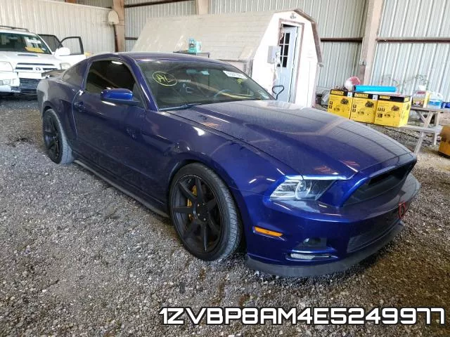 1ZVBP8AM4E5249977