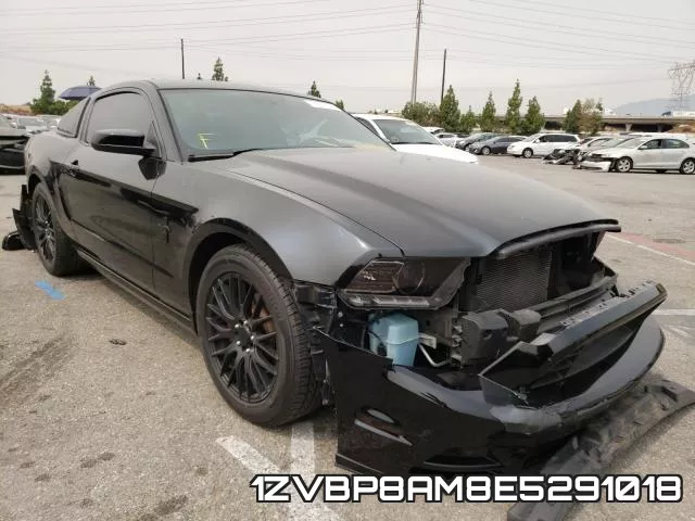1ZVBP8AM8E5291018
