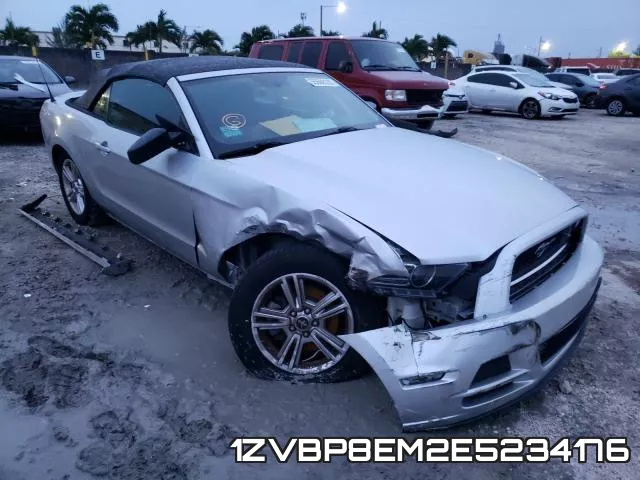1ZVBP8EM2E5234176
