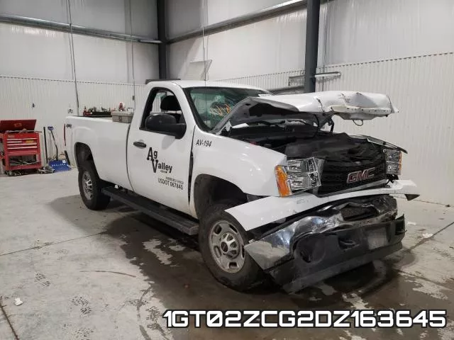 1GT02ZCG2DZ163645