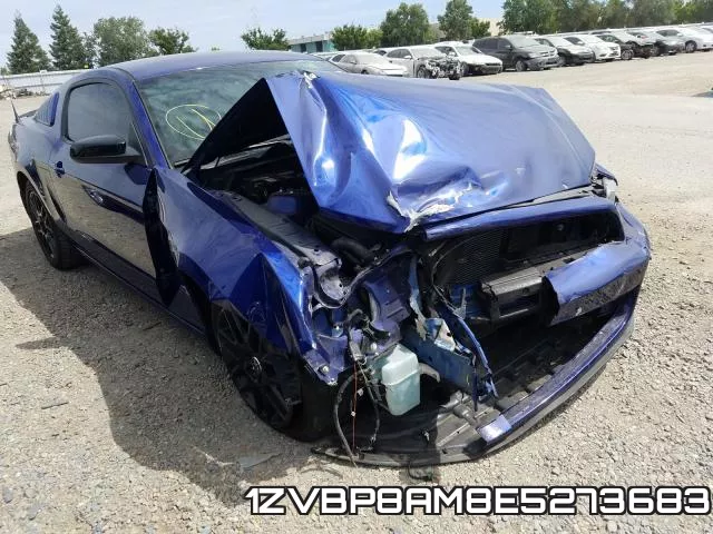 1ZVBP8AM8E5273683