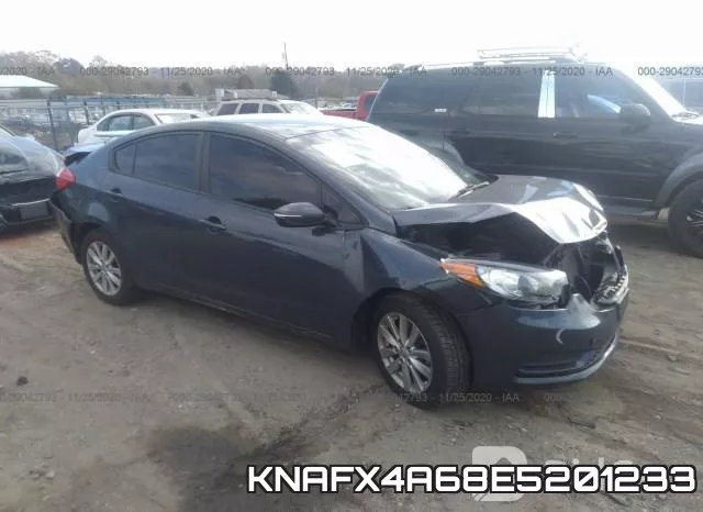 KNAFX4A68E5201233