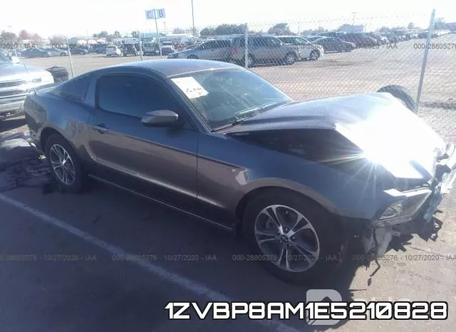 1ZVBP8AM1E5210828