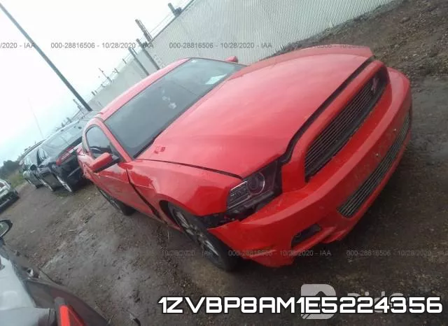 1ZVBP8AM1E5224356