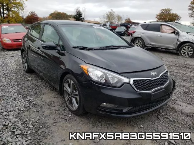 KNAFX5A83G5591510
