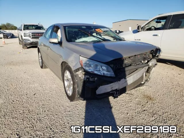 1G11C5SLXEF289188