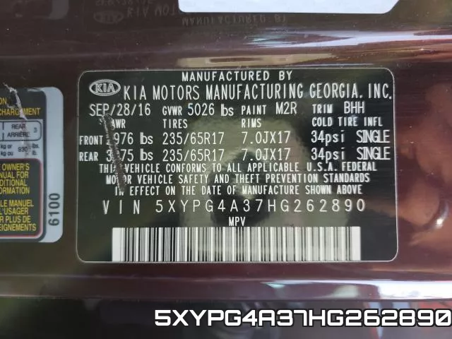 5XYPG4A37HG262890_10.webp