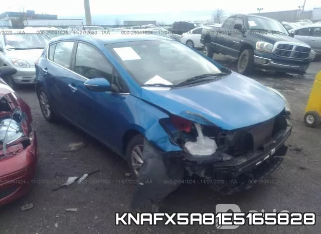 KNAFX5A81E5165828