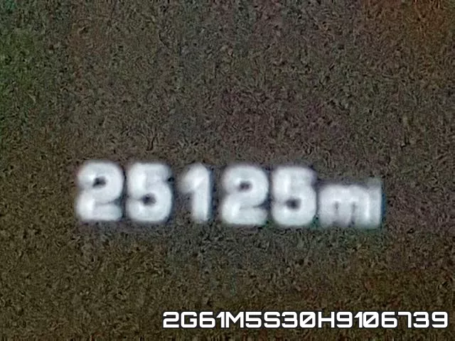 2G61M5S30H9106739_8.webp