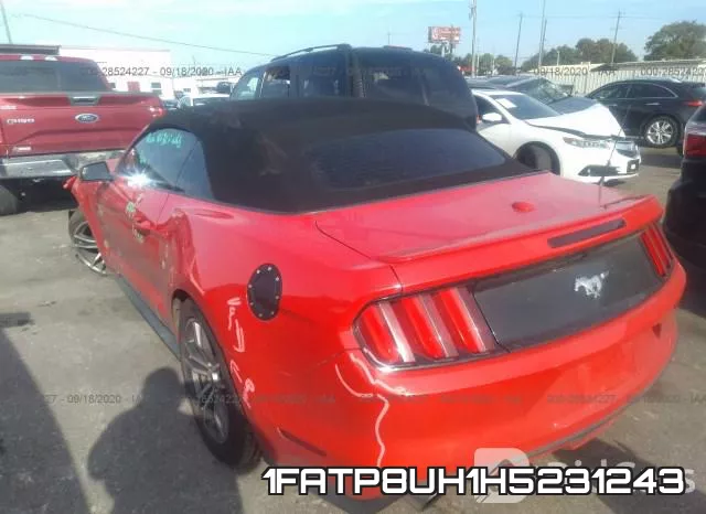 1FATP8UH1H5231243_3.webp